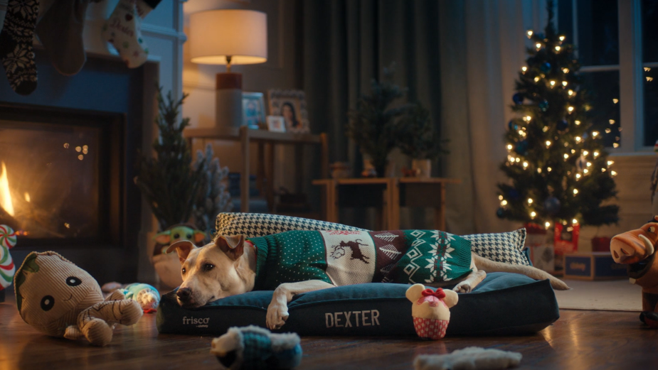 Chewy Helps Pet Owners Celebrate Love and Companionship This Festive