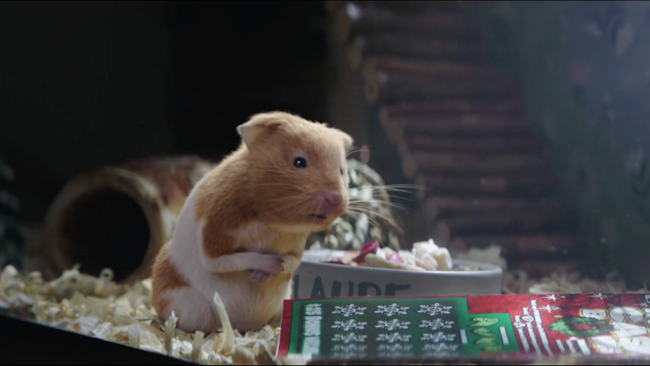 Claude the Hamster Hopes for a Lucky Scratch in Holiday Love Story for Illinois Lottery
