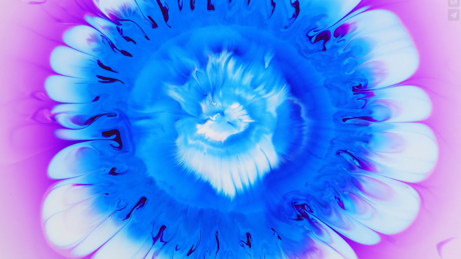 Stunning Macro Detail and Vibrant Musical Energy In Latest Colourtrend Paint Ad
