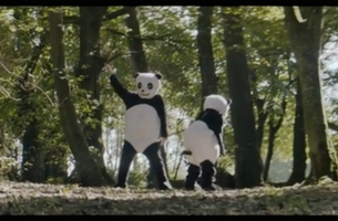 The Twerking Pandas in Kodaline's Music Video is The Funniest Thing You'll See Today 