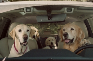 The Barkleys Are Back: Subaru Unveils All-New 'Dog Tested. Dog Approved' TV Ads