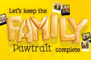 TMW Unlimited Steals Hearts with Moving Film for Dogs Trust
