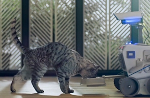 Goldstein Creates Meowsic for New Whiskas Kat Institute of Technology Campaign