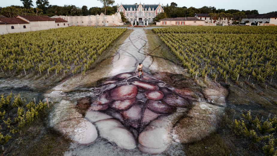 Renowned Artist David Popa Unveils Stunning Biodegradable Installation on Grounds of Château Cantenac-Brown