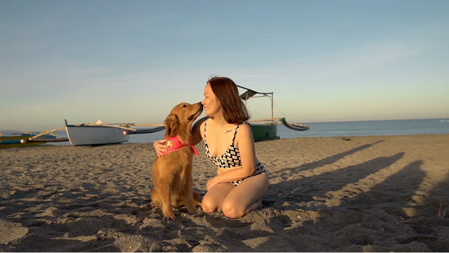 Sniffing You Out for Sun Safety: Dogs Detect Beach-Goers Not Using Sunscreen in Adorable Campaign