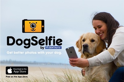 Pedigree DentaStix Launches App to Take the Perfect Selfie With Your Dog. 