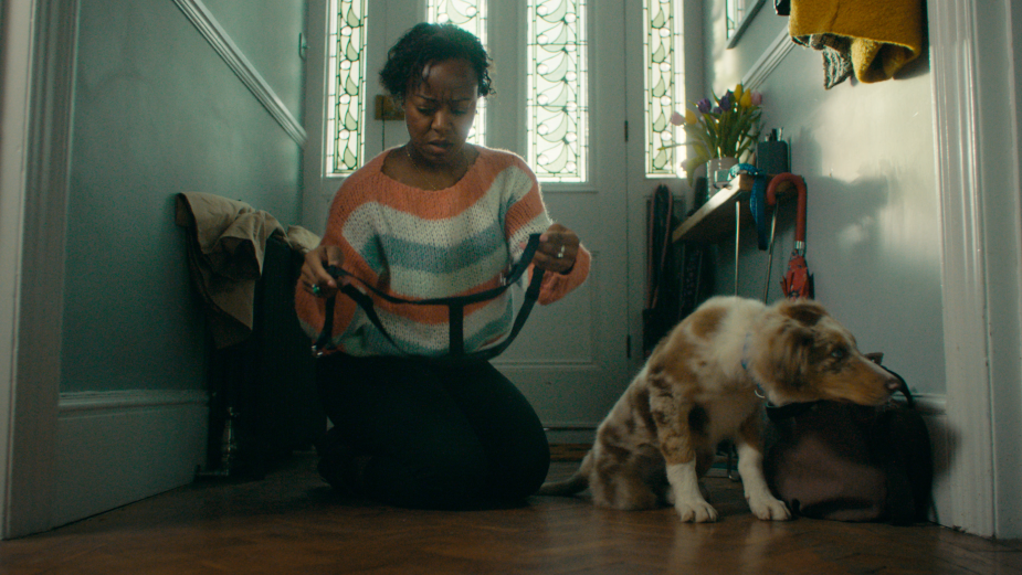 Pets at Home Know the Real Experiences of Pet Ownership in 'Join the Club' Campaign