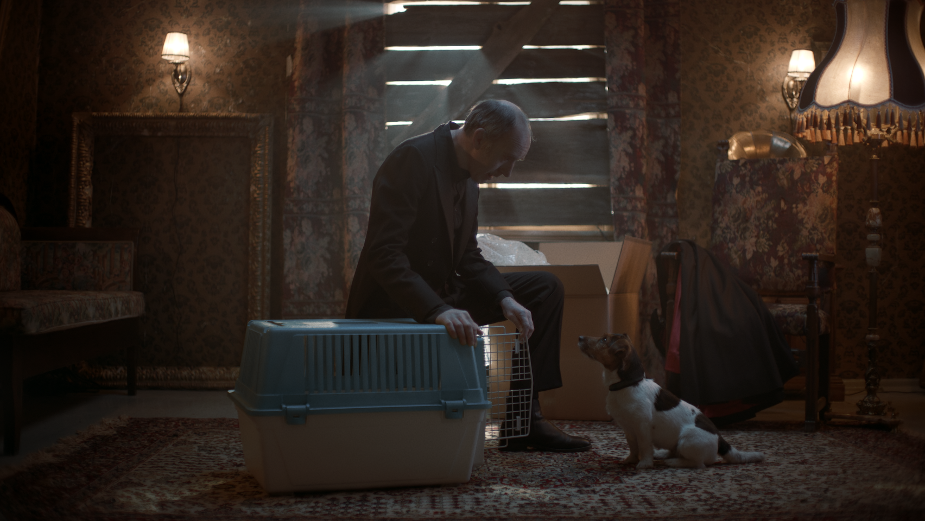 Quirky PEDIGREE Campaign Imagines the Fantastical Former Lives of Shelter Pets