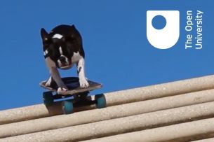 Dogs On Skateboards Help LIDA Recruit New Students for the Open University