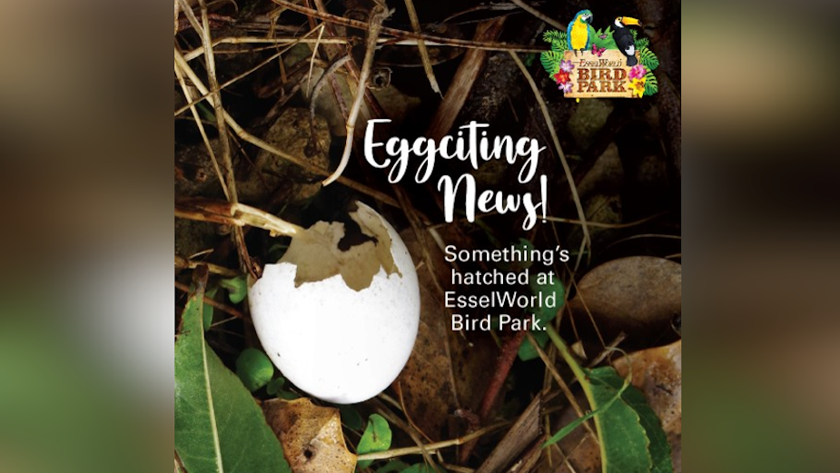 EsselWorld Bird Park’s ‘Nature, Nurtured’ Campaign Will Leave You Eggstatic