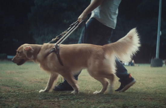 PEDIGREE Launches First Educational Platform to Train Human Guides for Blind Dogs