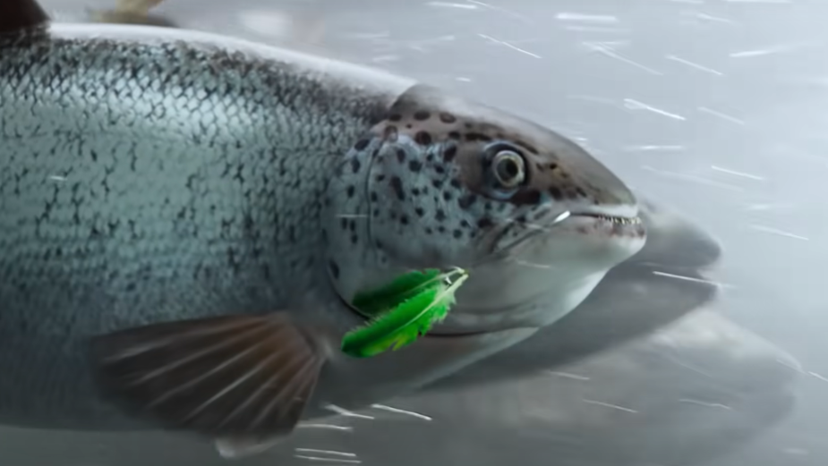 An Inspired Fish Goes Online in Fiverr’s Playful Film 