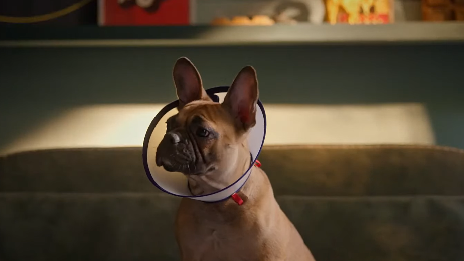 Mischievous Dogs Stay Protected in Future Generali India Spot