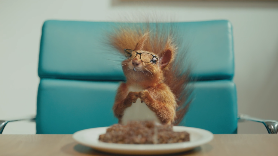 Graze Welcomes a Furry New Edition in Cheeky Fourth Wall Breaking Spot 