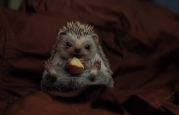 Adorable Hedgehog Heralds a Lucky New Year in Dutch Lottery Ad