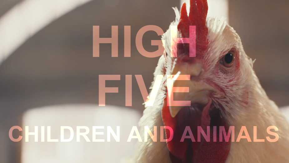 High Five: Only Work with Children or Animals