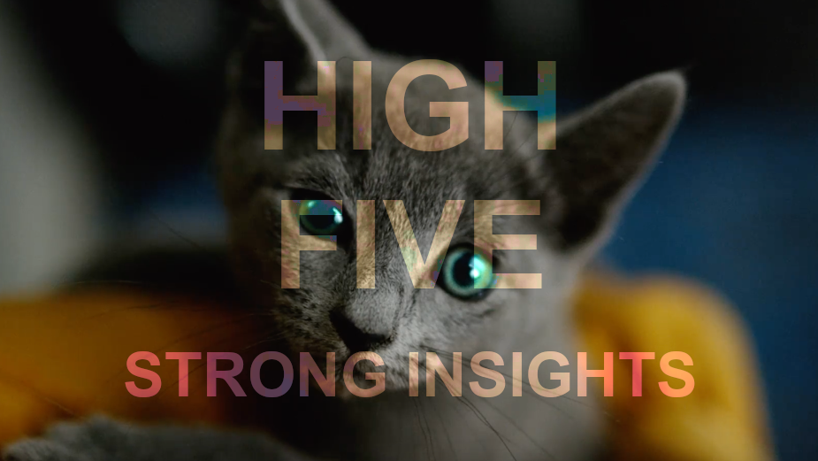 High Five: Insights You Can't Ignore