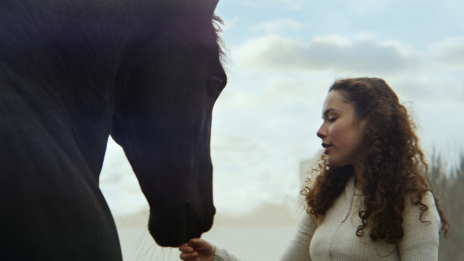 Lloyds Bank's Iconic Black Horse is Back in Epic Spot