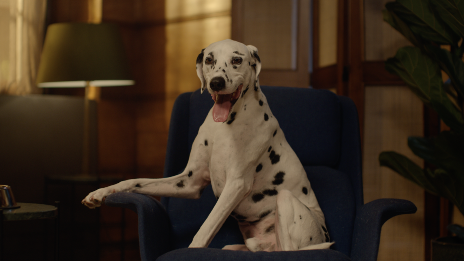 ManyPets and Uncommon’s Humorous Film Series Shows the Many Jobs of Pets