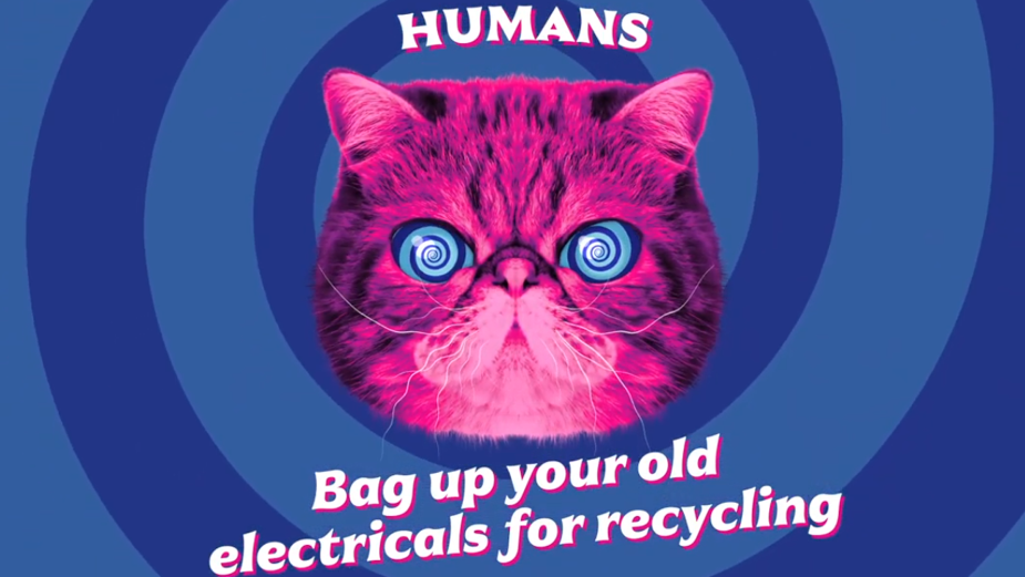Hypnocat Encourages Us to Get Recycling for Material Focus