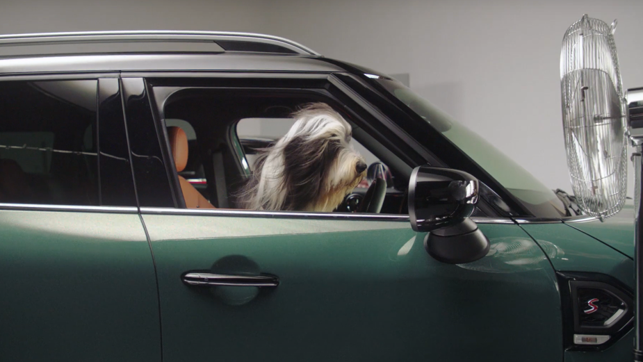 MINI UK Opens its Doors to Paws for Happier Travel Partnership with Dogs Trust 