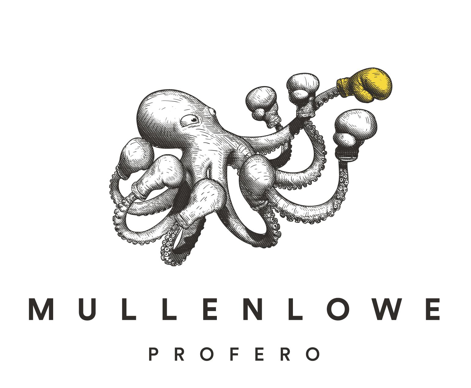 MullenLowe Profero Formalises Omnichannel offering