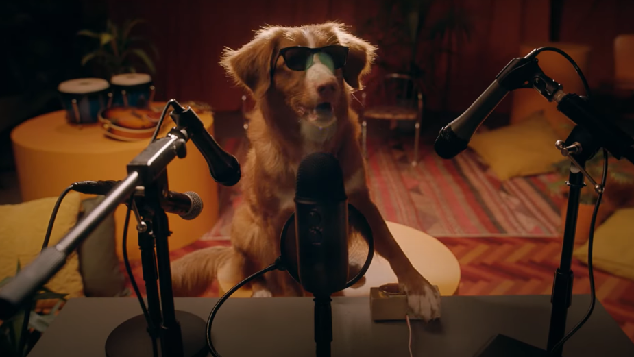 New York Lottery Recorded a Song That Will Have You and Your Dog Howling