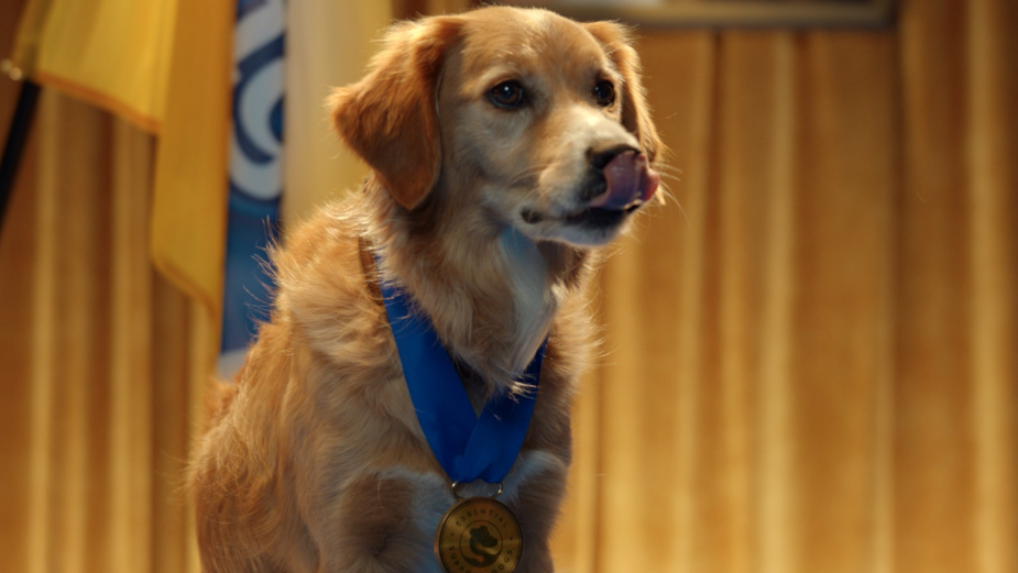 Pedigree Brand Celebrates Dogs Unwavering Support with Essential Support Dogs Program 