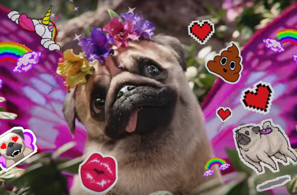 How Three is Harnessing the Power of Memes and Snaps with its ‘Puggerfly’