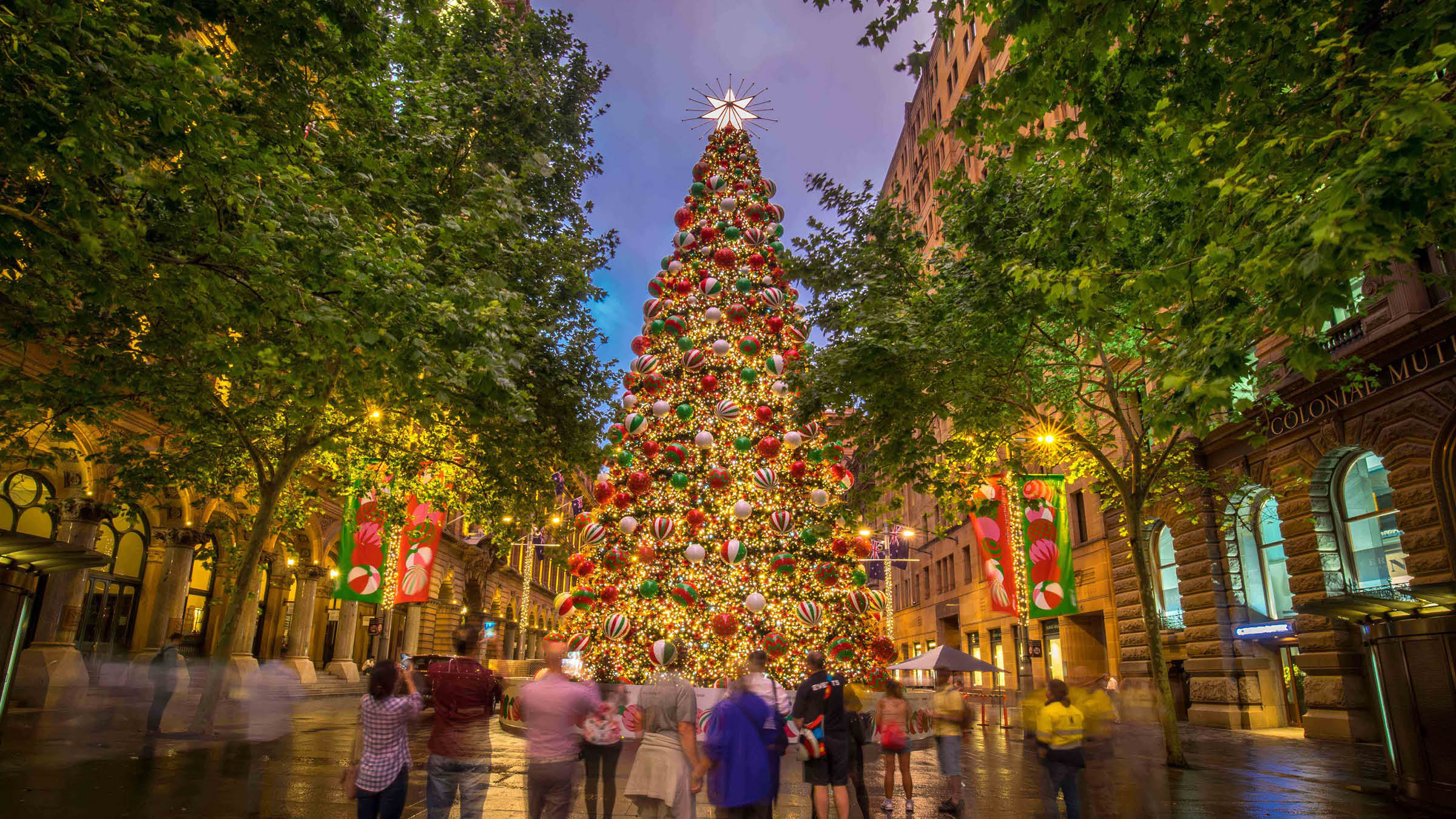 Scoundrel Projects Reveals First Phase of Christmas in Sydney