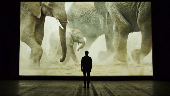 New WWF & Will Young Promo Features Stunning Scenes of Nature