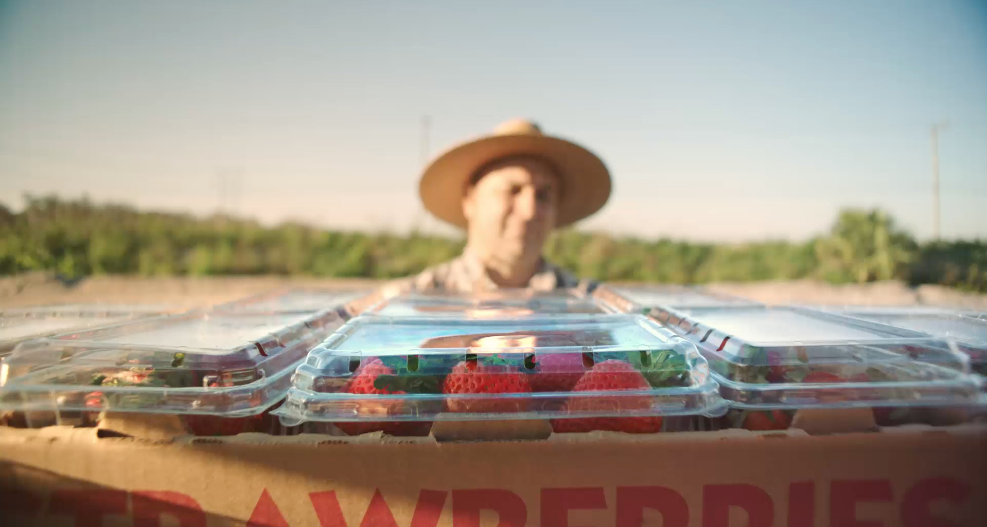 See the Extraordinary Life and Times of a Strawberry in New Ad Council Film