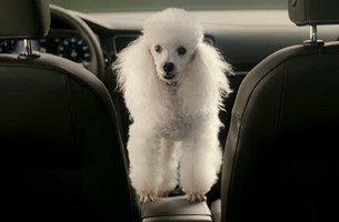 New Features on The VW Golf Cause Amusing Problems in Global DDB Berlin Campaign 