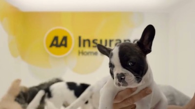 DDB NZ Uses Puppies and Grandma to Make Kiwis Care About AA Insurance