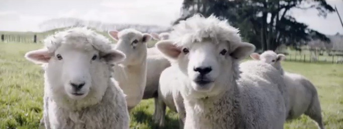 Iconic Kiwi Brand L&P Serves Up 'Refreshingly Different' Campaign via DDB New Zealand