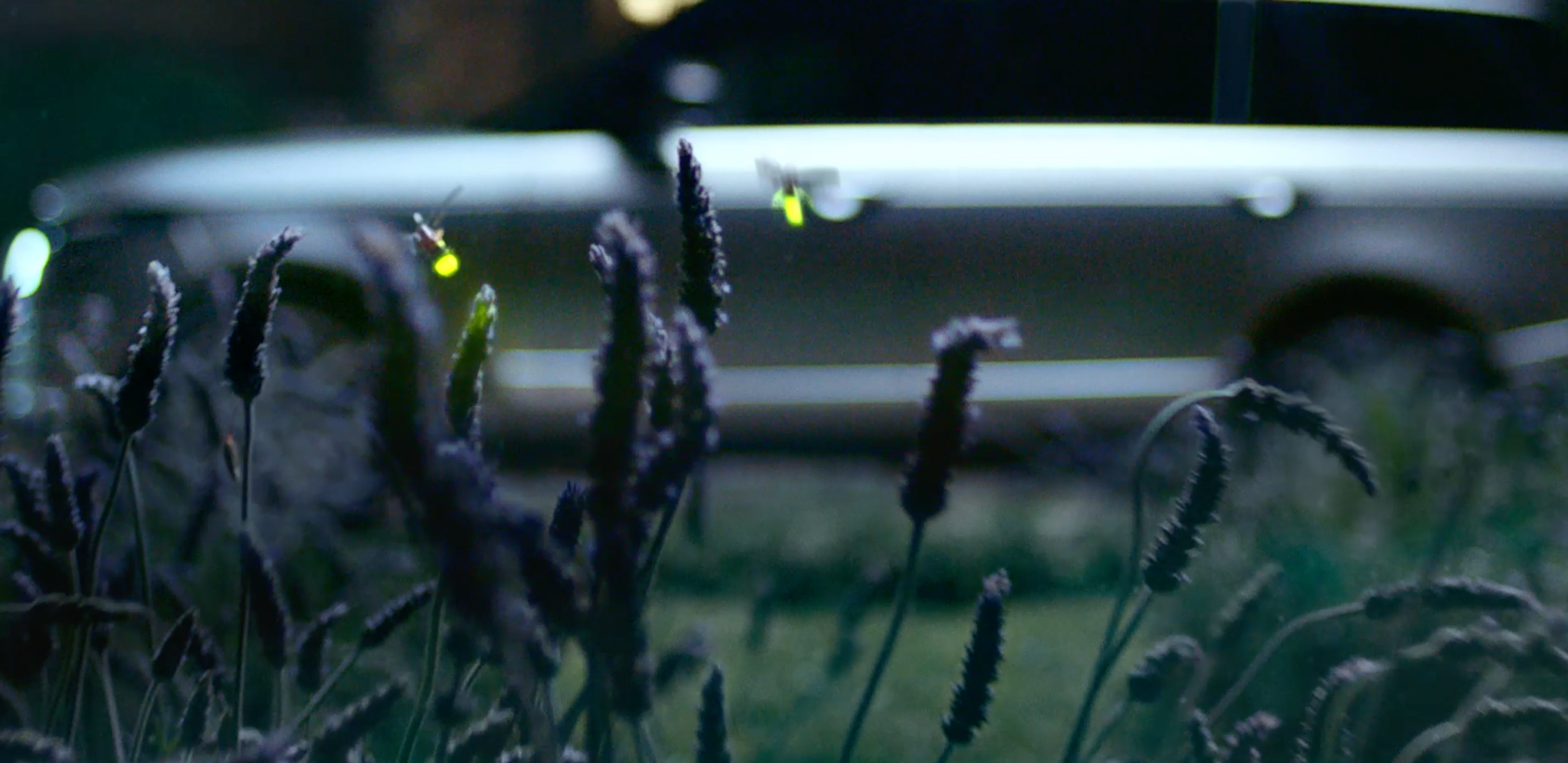 Fireflies Illuminate Range Rover SVA's Best Features