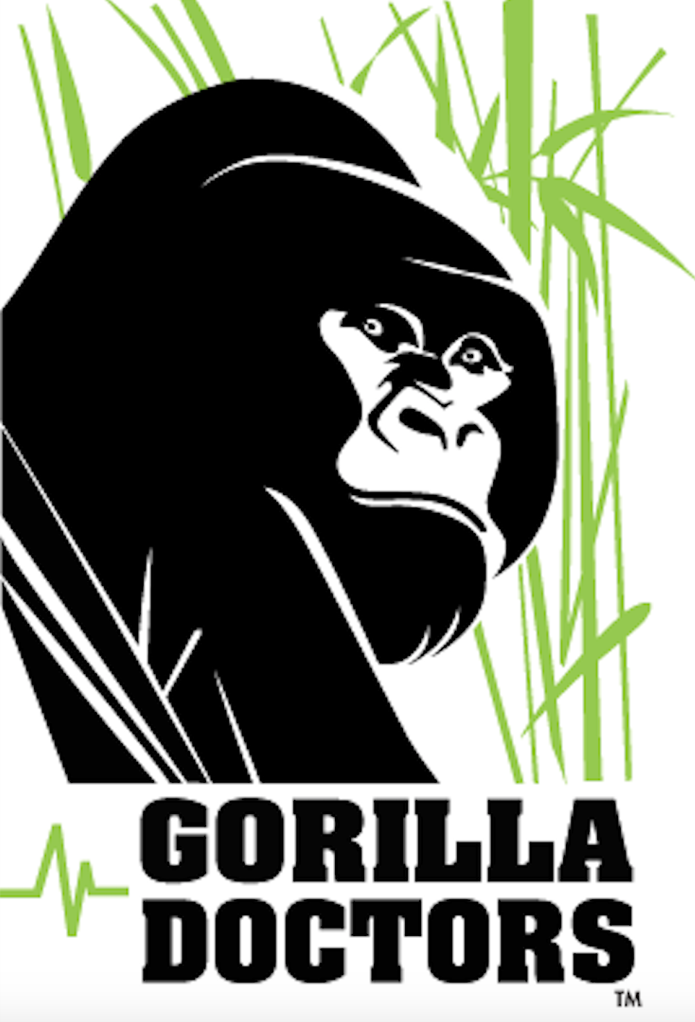 LIA Announces the Winner of the Gorilla Doctors Competition