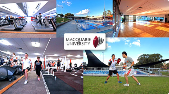 303Lowe Wins Macquarie University Creative and Media Account 