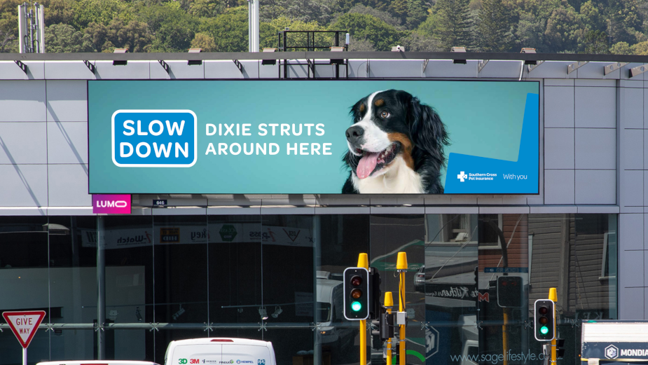 Southern Cross' Speedometer Billboards Keep Kiwi Pets Safe and Healthy
