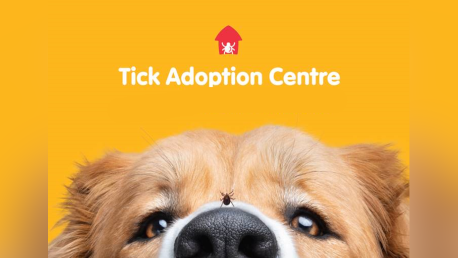 Dogs in Toronto Can Adopt an Emotional Support Tick at the Tick Adoption Centre
