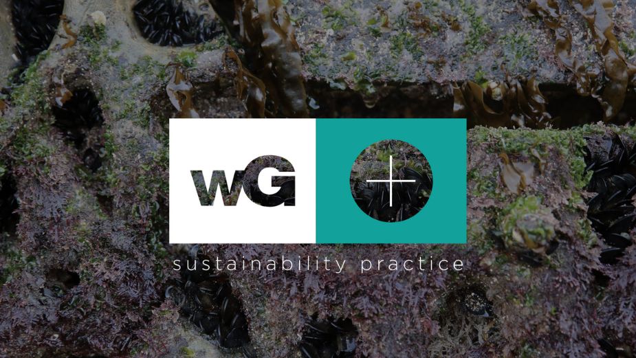 whiteGREY Launches Dedicated Sustainability Practice