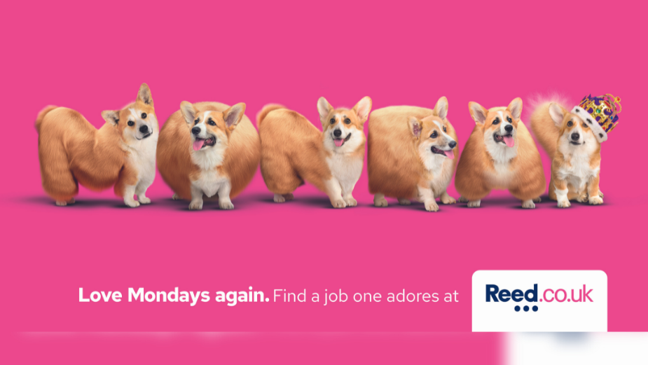 Reed.co.uk Switches to Corgis in Jubilee Special ‘Love Mondays Again’ Campaign