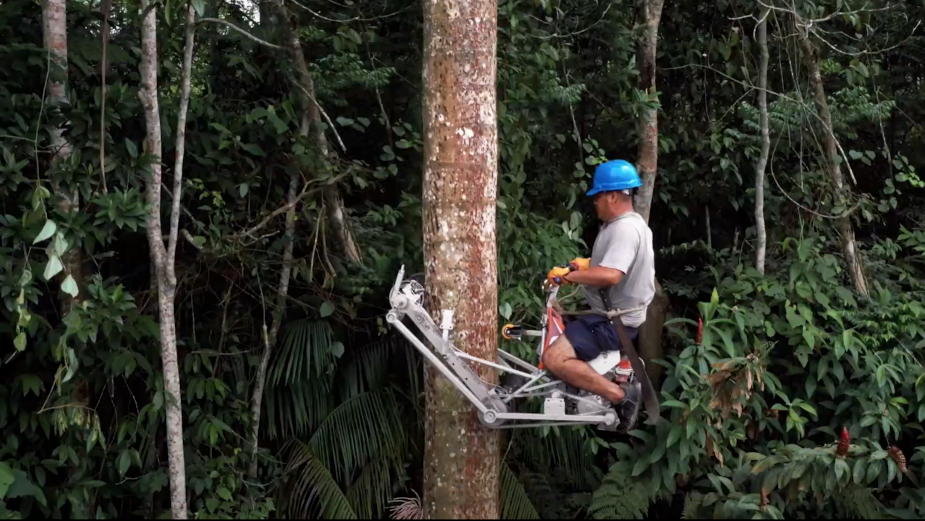 This ‘Vertical Bike’ Prevents Palm Trees Being Felled in the Peruvian Amazon
