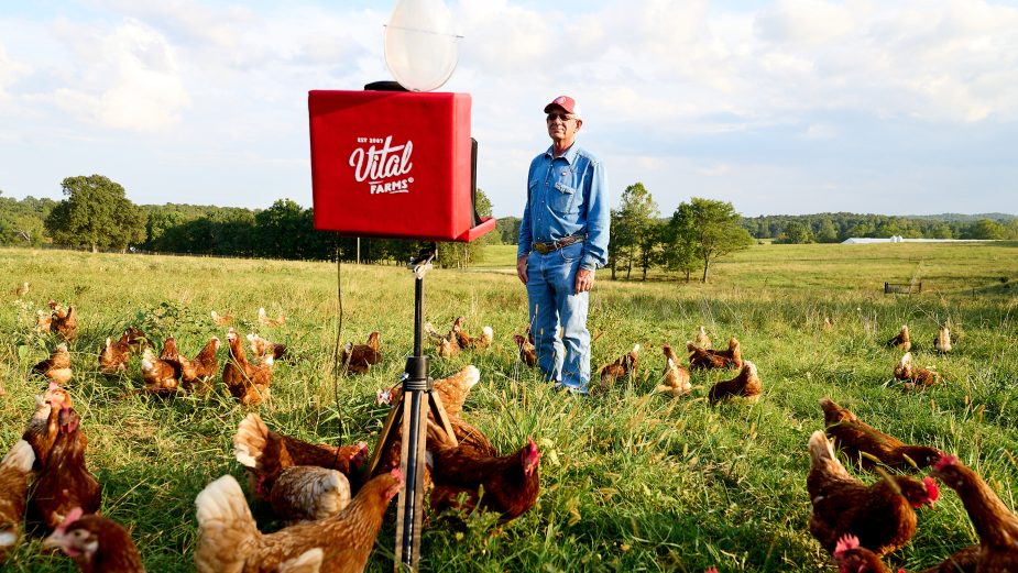 How Preacher Turned Chickens into Photographers the Bullsh*t-Free Way