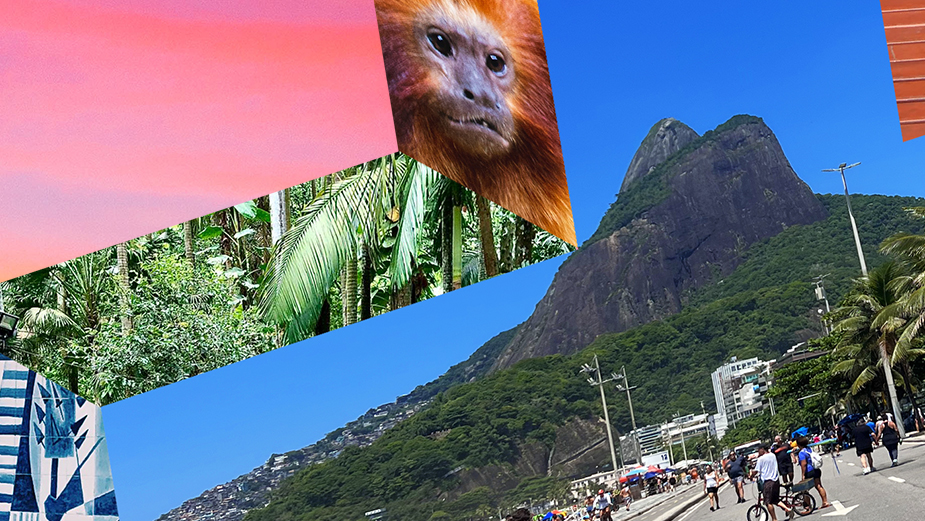 Wunderman Thompson’s City Guide to Inspiration in Nature: Rio de Janeiro