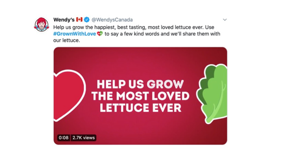 Wendy’s Canada Recruits Canadians to Help Grow 'the Most-Loved Lettuce Ever'