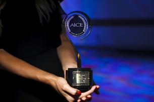 2016 AICE Awards Names Curatorial Committee