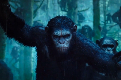Planet of the Apes Comes to the Big Brother House This Sunday