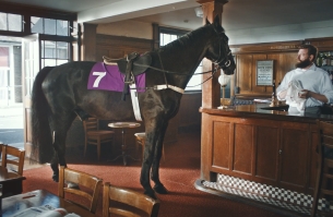 A Horse Walks Into a Bar... You Won't Believe What Happens Next