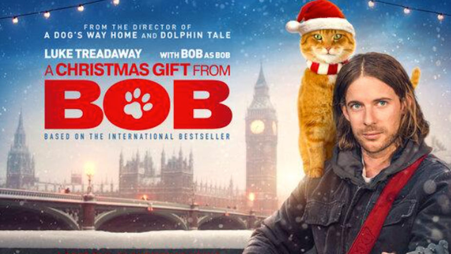 Street Cat Bob Returns for Christmas in Anticipated Sequel 